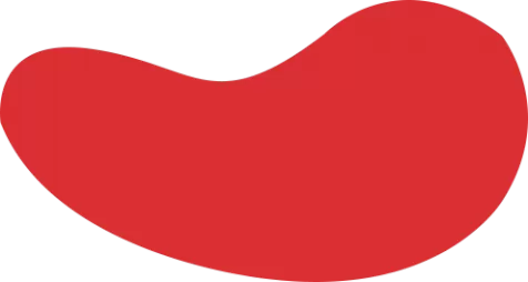 欢迎来到风驰加速器官網｜风驰加速器