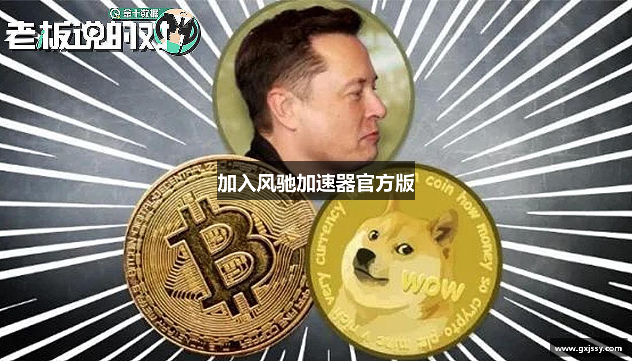 加入风驰加速器官方版